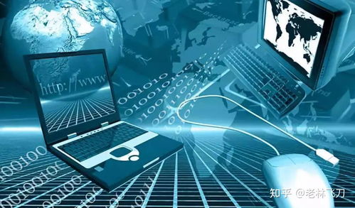 大学计科类专业分流选择指南 聚焦计算机网络技术服务方向的考量