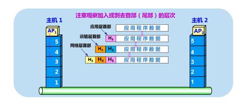 计算机网络 概述 第一章